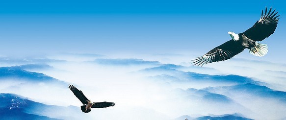 榨油機企業