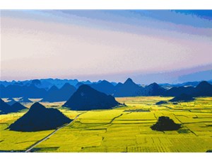 菜籽的收獲季節到了! 遍地黃花，清香飄田野~