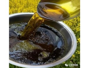 冷榨菜籽油和熟榨菜籽油的區別