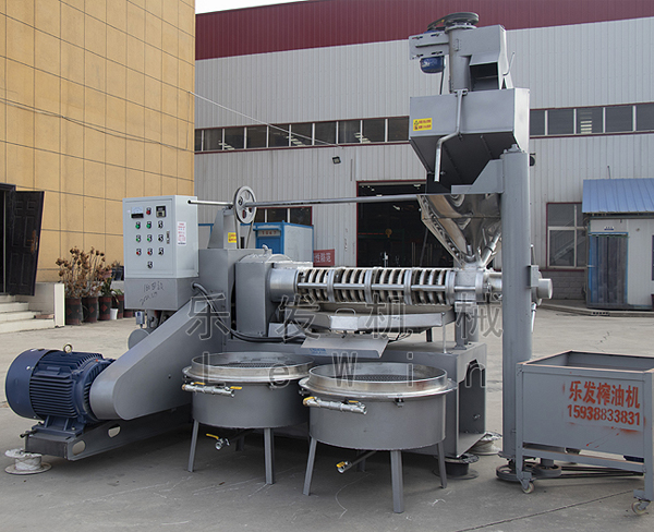 220V四級螺旋條排榨油機