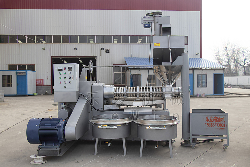 230V四級螺旋條排榨油機